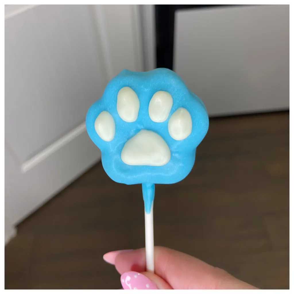 BLUEY! Cake Pop Puppy Paw