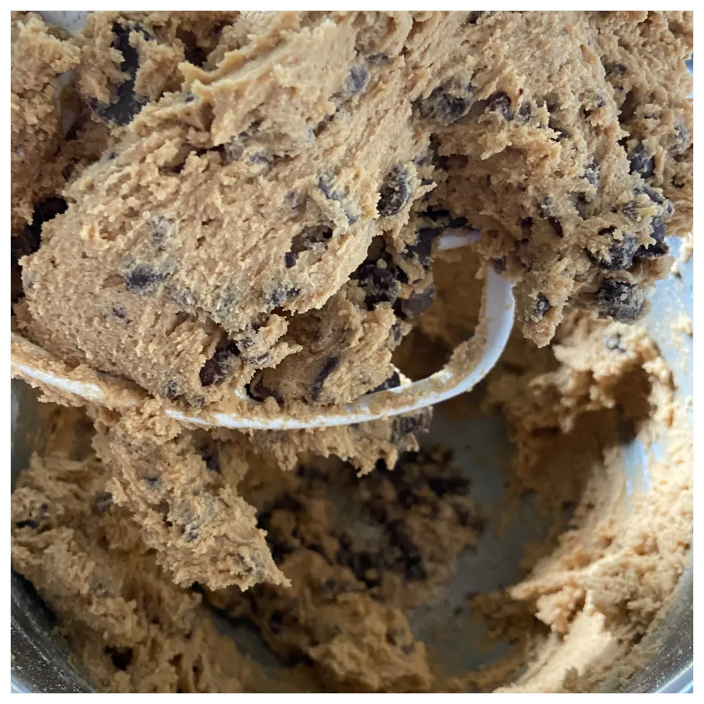Cookie Cake Chronicles – part 1