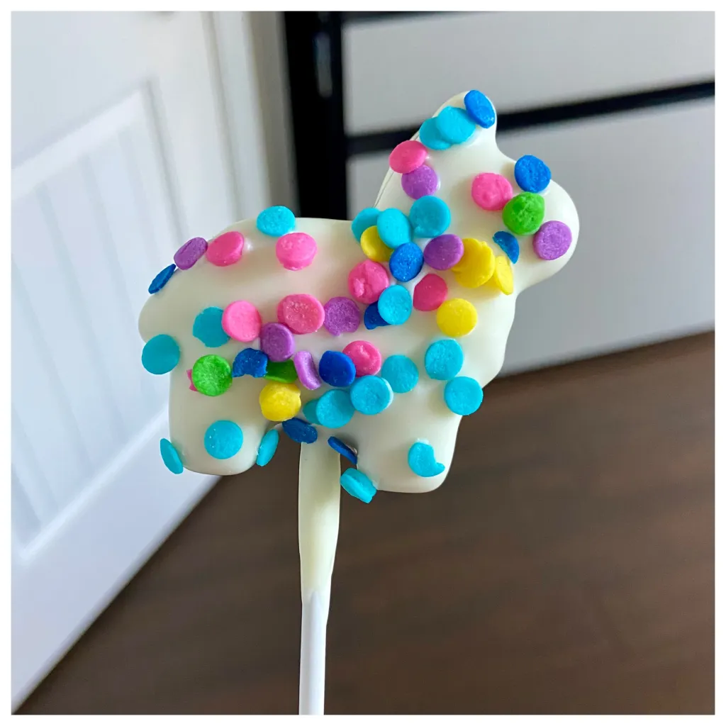Confetti Donkey Pinatas